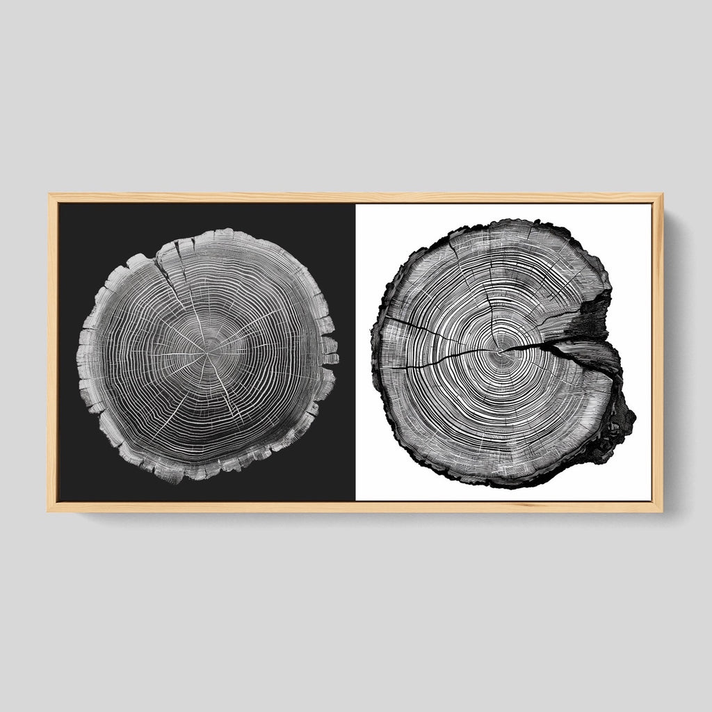 Modern Nordic Tree Ring Wall Art in Black and White.